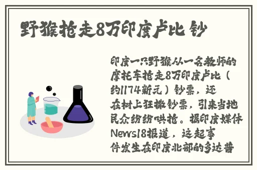 亚洲国产精品一区二区美利坚